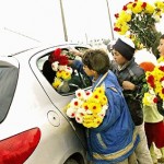 دانلود مقاله سرای دوستی مرکز کودکان خیابانی