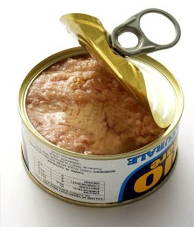 Canned Fish