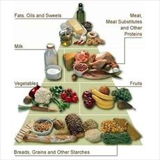 Research differences in the diet of athletes and normal people