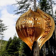 PowerPoint tree house restaurant Zealand