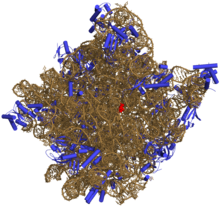 Paper History cell recognition