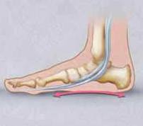 PowerPoint mechanism of human gait