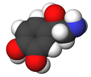 Article norepinephrine