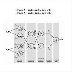 Project simulation tool for modeling and identification of neuro-fuzzy