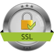 Paper ssl