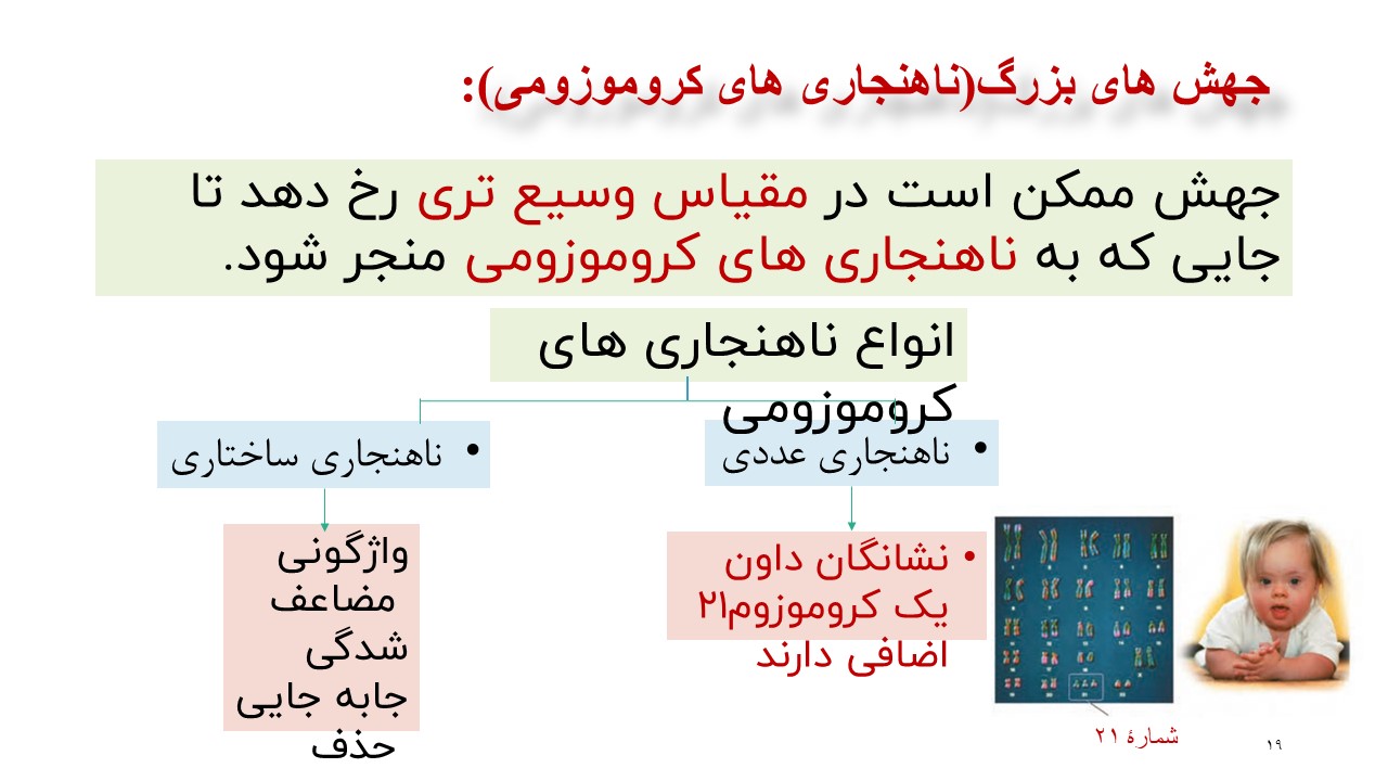 پاورپوینت تغییر در مادۀ وراثتی جانداران زیست شناسی دوازدهم