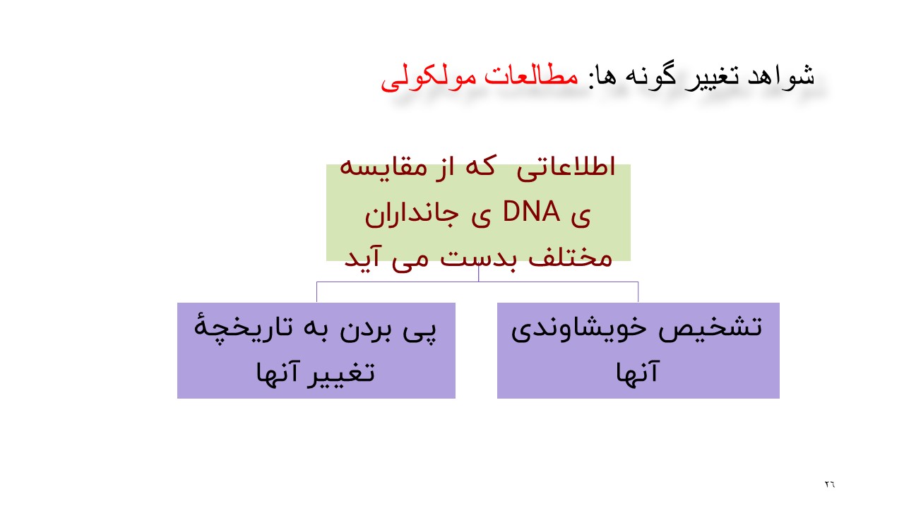 تغییر در گونه ها