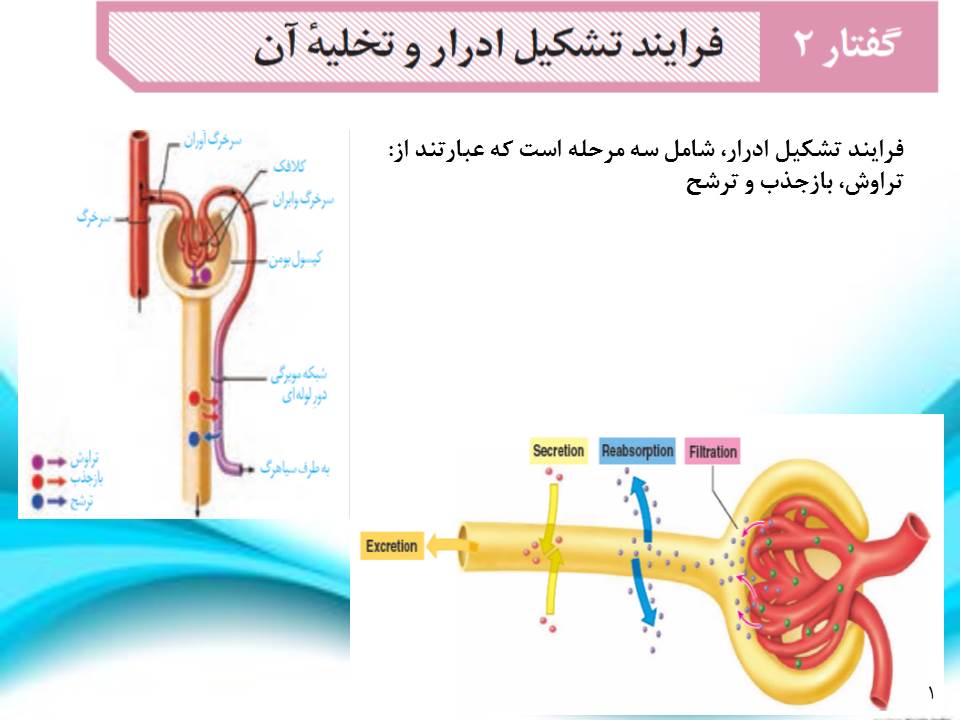 زیست شناسی دهم